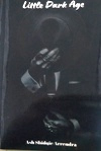 Image of Little Dark Age